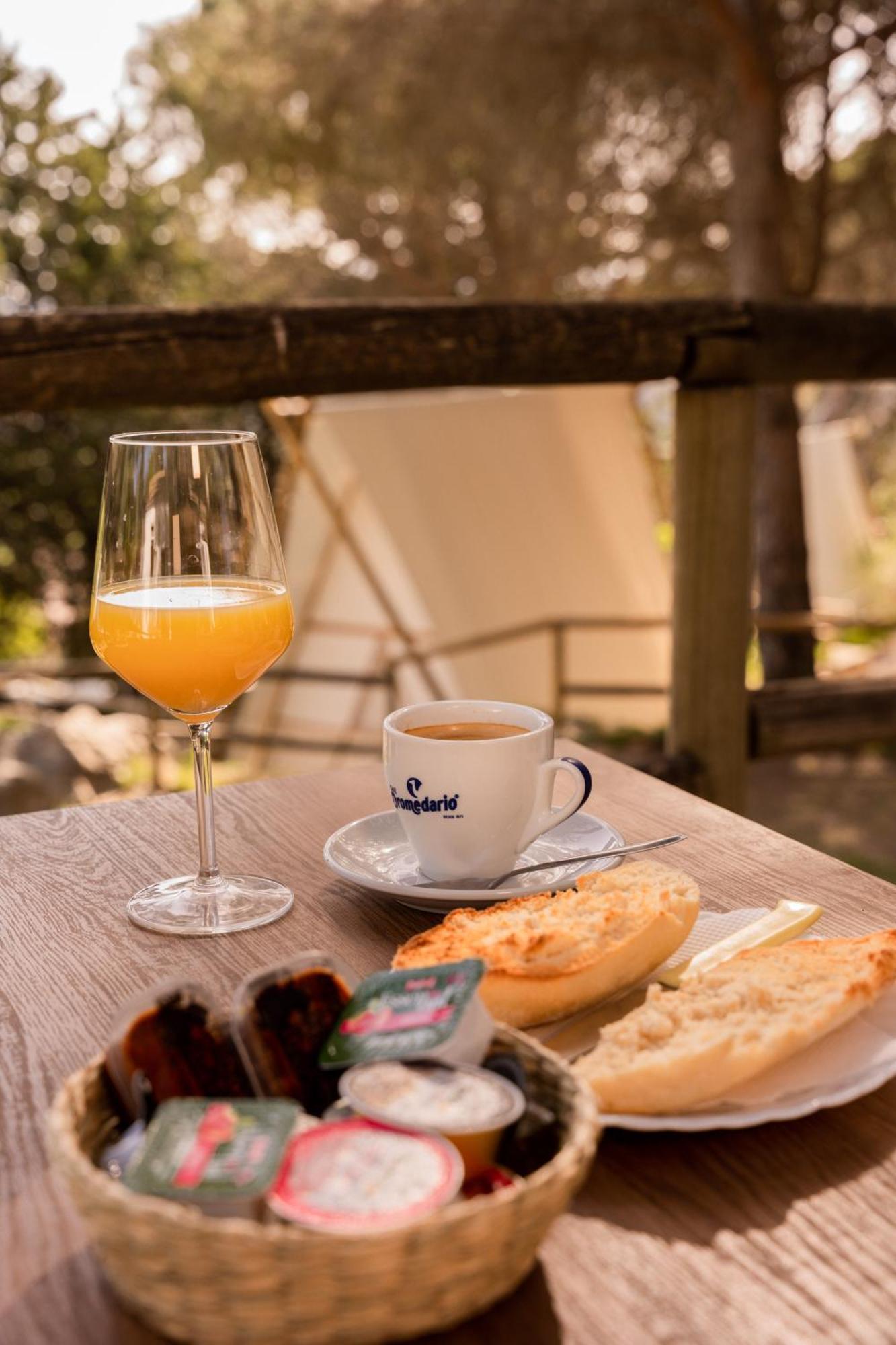 Camping Tajorodillo Grazalema Dış mekan fotoğraf